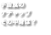 宇宙食の ケチャップ その中身は？