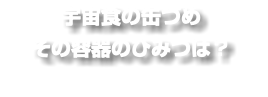 宇宙食の缶づめ その容器のひみつは？