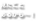 見たこと あるかも〜！