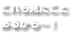 これも見たこと あるかも〜！