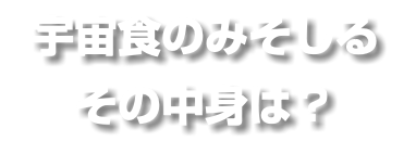 宇宙食のみそしる その中身は？